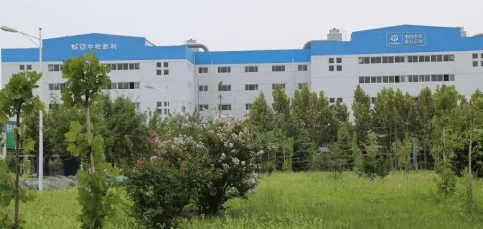 中牧山东研究院实验室工程